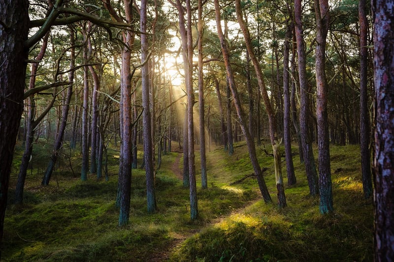 Off-the-grid Adventure