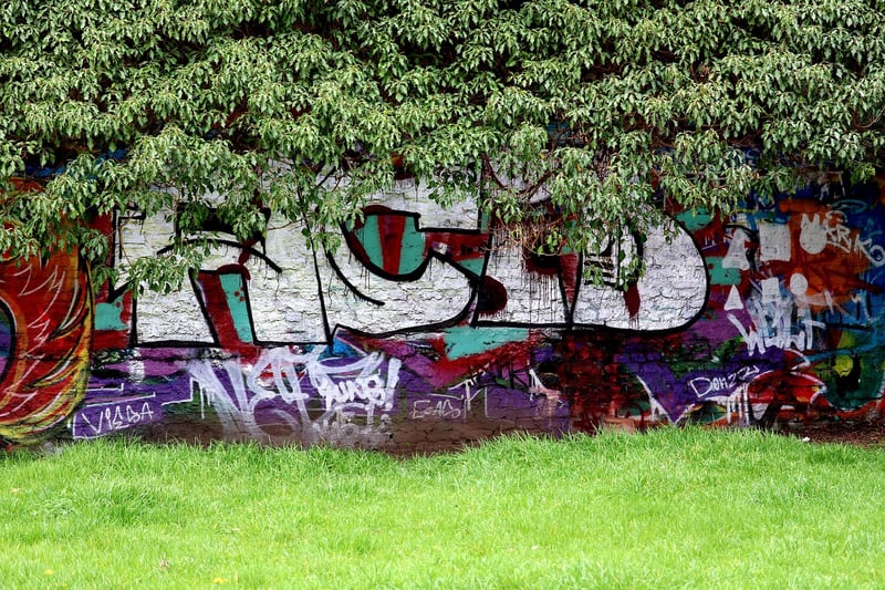 Street Art Safari